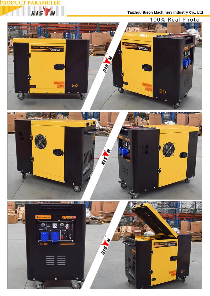 Basic Customization Bison 6 Kw Portable Power Generating Silent Diesel Generator Set Air Cooled 6kw AC 6kVA 7.5 kVA 8.5kw 8kw Diesel Generator with 5%off
