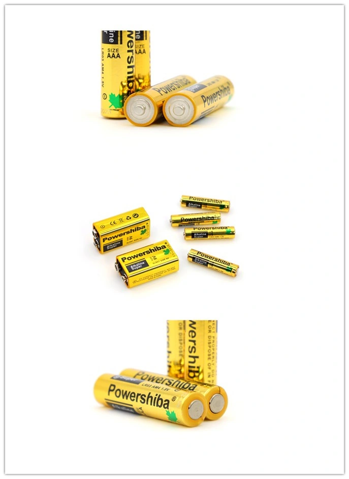High Performance Primary 1.5V Lr03 AAA Alkaline Battery with Duration Time 170mins