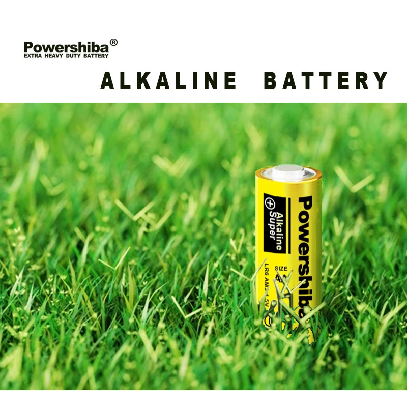 High Performance Primary 1.5V Lr03 AAA Alkaline Battery with Duration Time 170mins