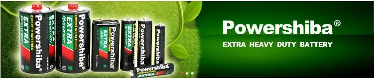 High Performance Primary Battery R20 D Size Battery with Duration Time 500min