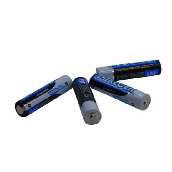 Reliable Low Duration 1.5V AAA Size Alkaline Batteries for Cheap Use