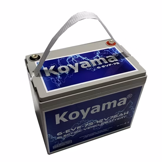 12V 75ah Deep Cycle Motive Power Electric Vehicle Battery 6-Evf-75